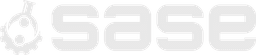 SASE Logo